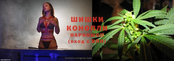 мет Алексин