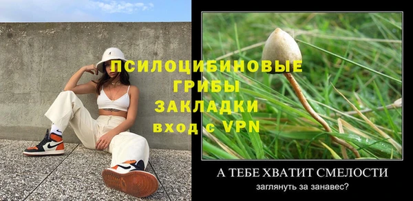 мет Алексин