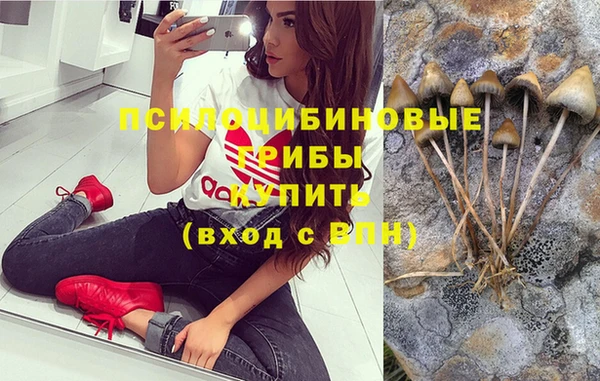 соль ск Алзамай