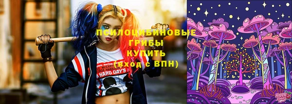 соль ск Алзамай