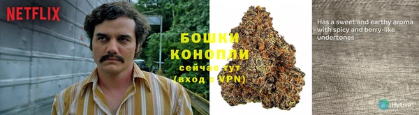 соль ск Алзамай