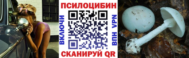 купить наркоту  Фурманов  Псилоцибиновые грибы MAGIC MUSHROOMS 